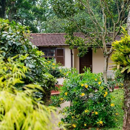 הוילה Petrópolis Casa Do Lenhador מראה חיצוני תמונה